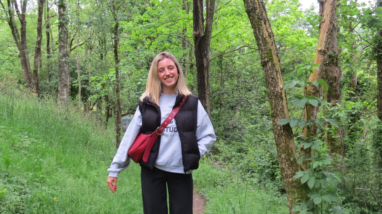 Sinedy Original - Imagen 3