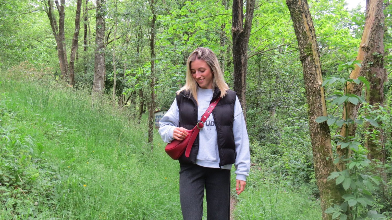 Sinedy Original - Imagen 2